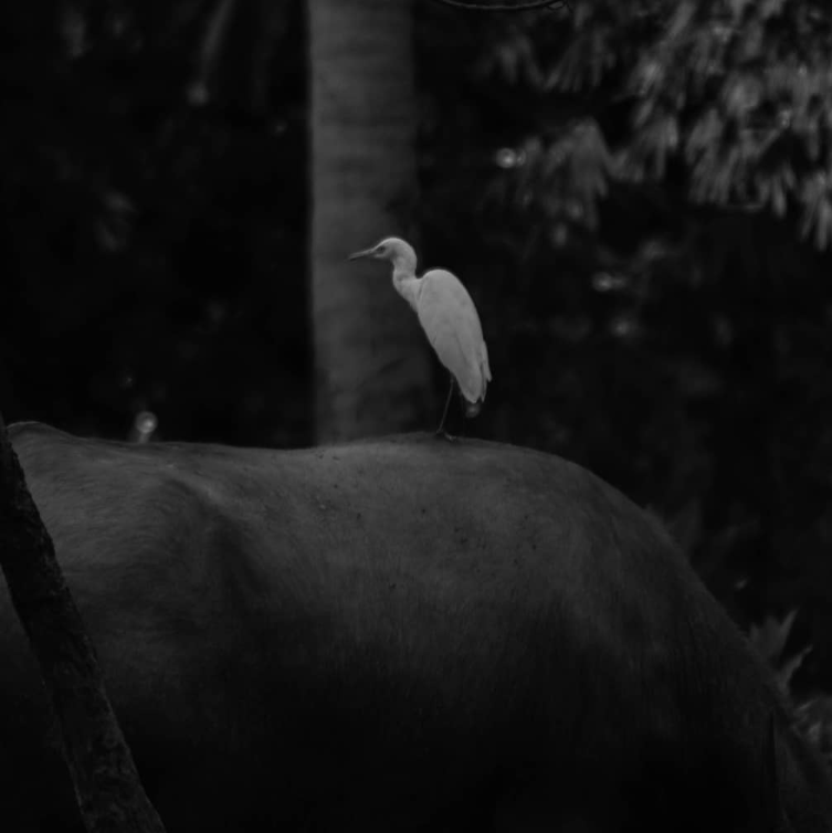 theadventureaperture #2